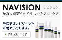 NAVISION