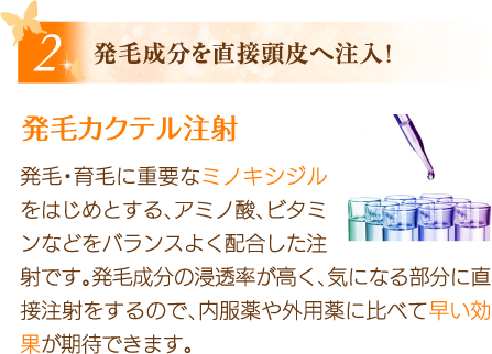 発毛成分を直接頭皮へ注入!