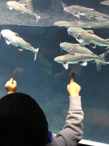 IMG_4590 - コピー