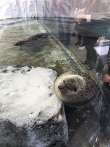 IMG_4594 - コピー