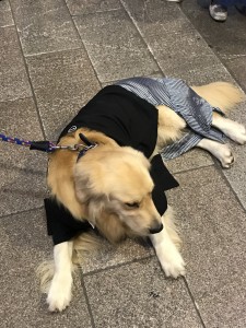 ぶろぐ