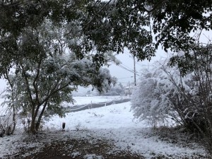 image1