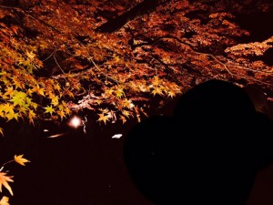 image4