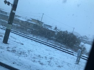 matuo2