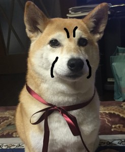 まつお