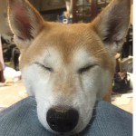 まりん