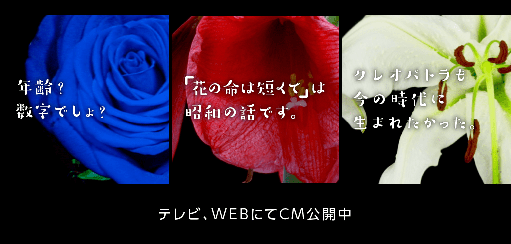 テレビ、WEBにてCM公開中