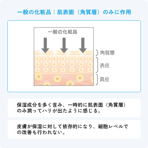一般の化粧品:肌表面(角質層)のみに作用
一般の商品は肌表面にとどまっていることが開設されている図
・保湿成分を多く含み、一時的に肌表面(角質層)のみ潤ってハリが出たように感じる。
・皮膚の保湿に対して依存的になり、細胞レベルでの改善も行われない。
・