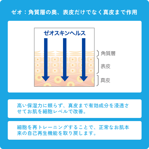 ゼオ:角質層の奥、表皮だけでなく真皮まで作用
・高い保湿力に頼らず、真皮まで有効成分を浸透させてお肌を細胞レベルで改善。
・細胞を再トレーニングすることで、正常なお肌本来の自己再生機能を取り戻します。